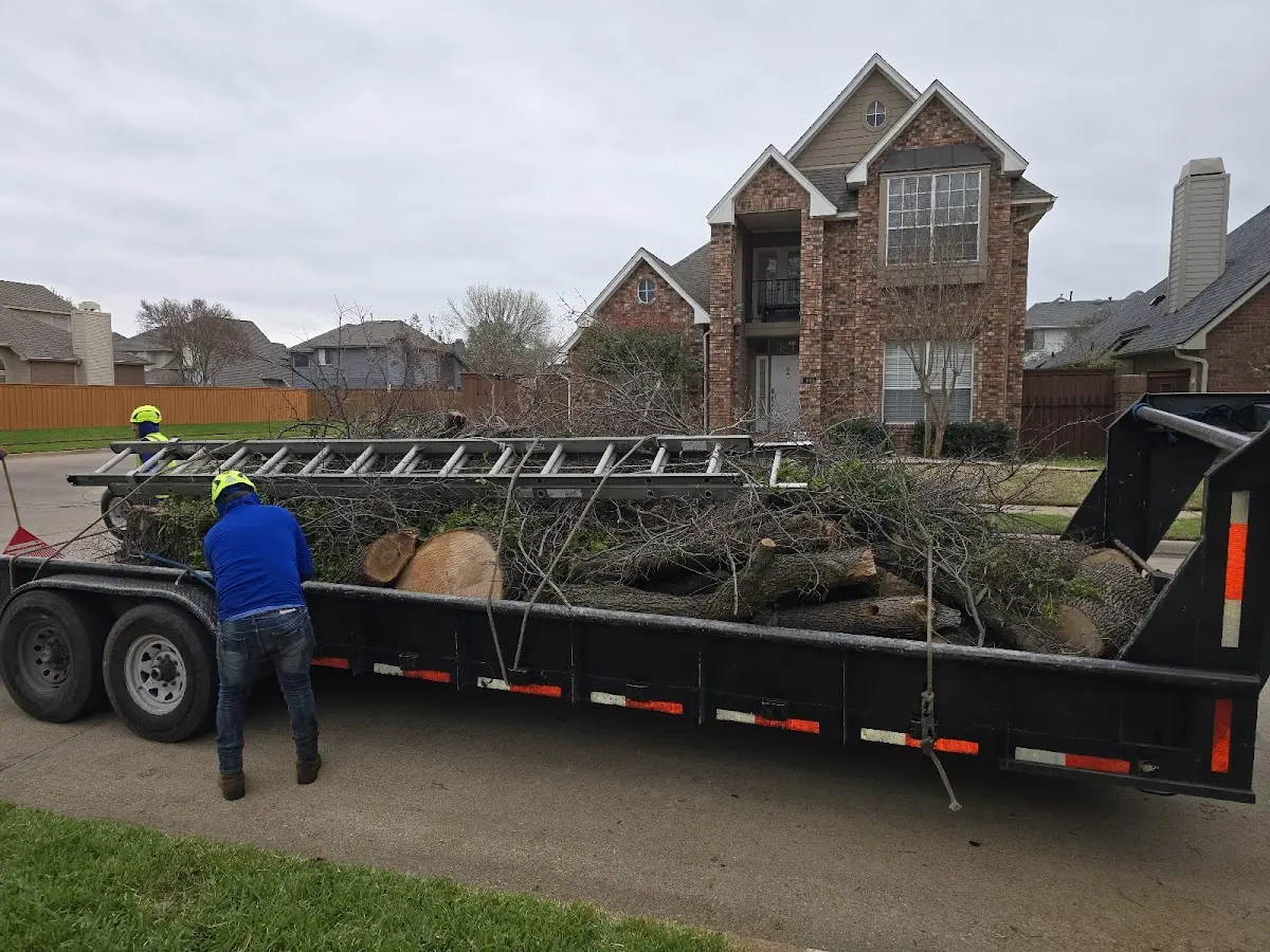 Expert Tree Removal with proper safety equipment in Jennings